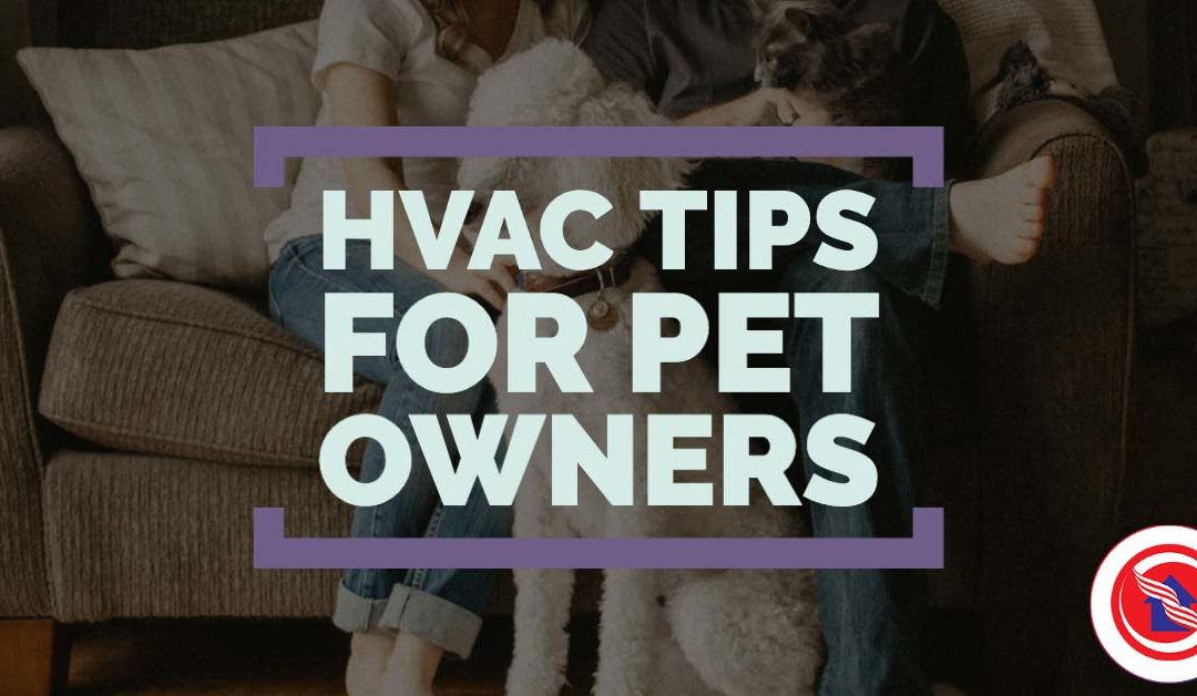 HVAC Maintenance For Pet Owners